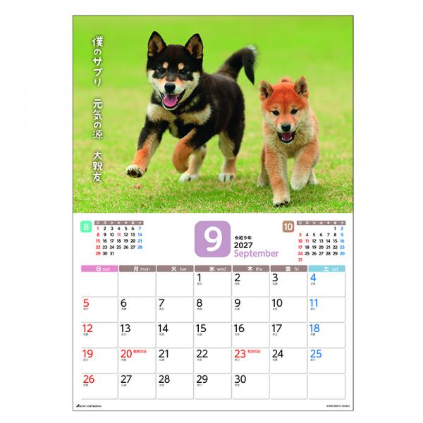 だってシバだもの。カレンダー２０２７　月めくり壁掛け 中面･9月