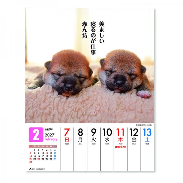 だってシバだもの。カレンダー２０２７　週めくり卓上 中面･2月