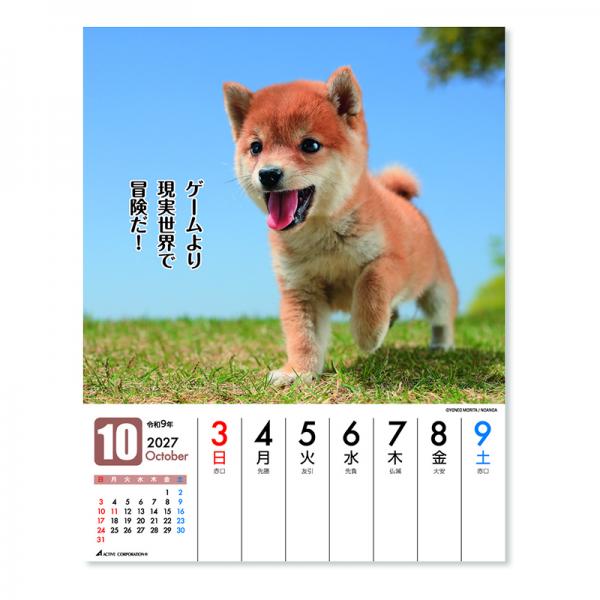 だってシバだもの。カレンダー２０２７　週めくり卓上 中面･10月