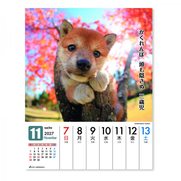 だってシバだもの。カレンダー２０２７　週めくり卓上 中面･11月