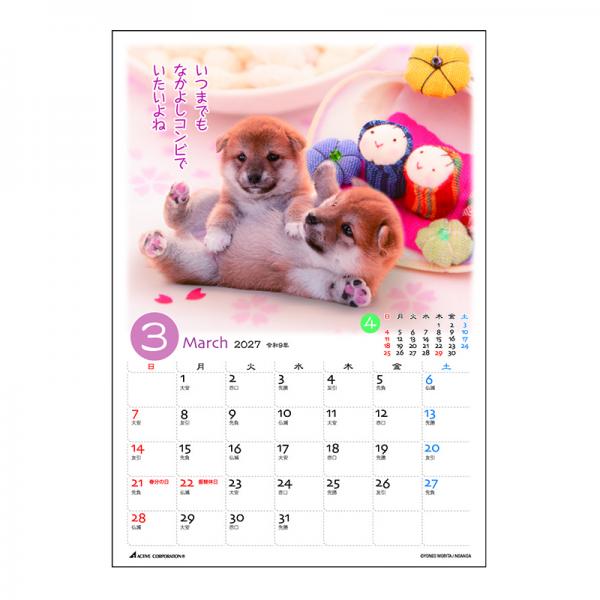 ぷちしば卓上カレンダー２０２７　月めくり 中面･3月