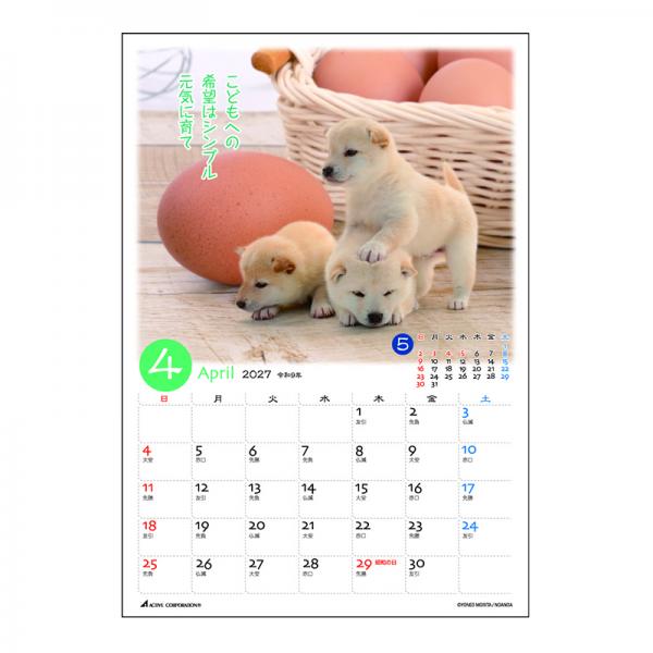 ぷちしば卓上カレンダー２０２７　月めくり 中面･4月