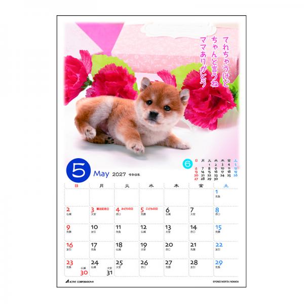 ぷちしば卓上カレンダー２０２７　月めくり 中面･5月