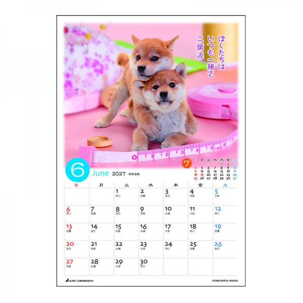 ぷちしば卓上カレンダー２０２７　月めくり 中面･6月