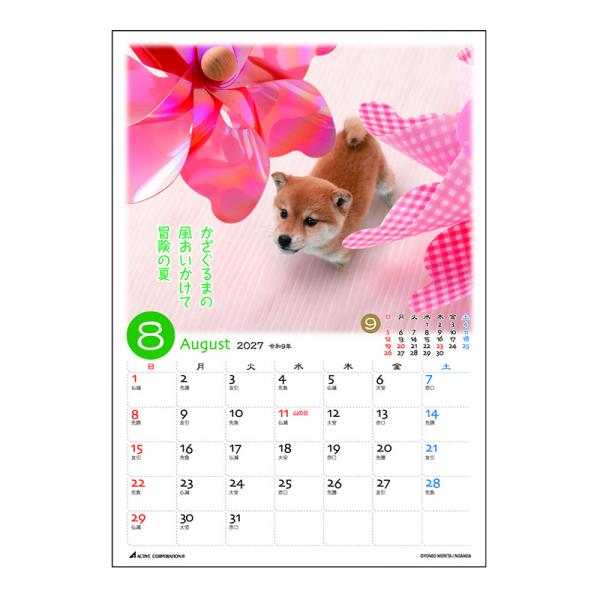 ぷちしば卓上カレンダー２０２７　月めくり 中面･8月