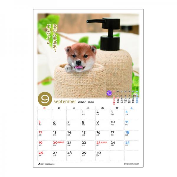 ぷちしば卓上カレンダー２０２７　月めくり 中面･9月