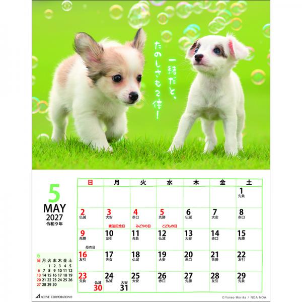 ＤＯＧマンスリー２０２７　壁掛けカレンダー 中面･5月