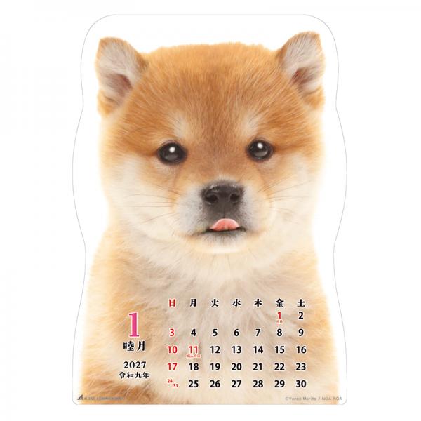 柴犬です２０２７　壁掛け 中面･1月