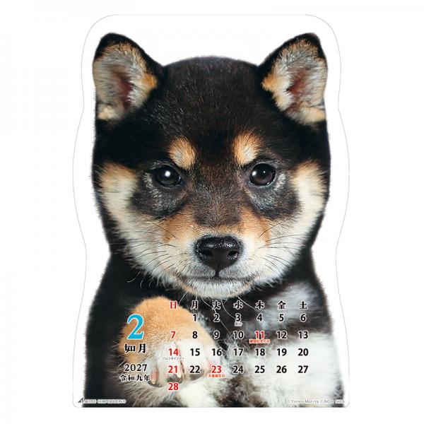 柴犬です２０２７　壁掛け 中面･2月