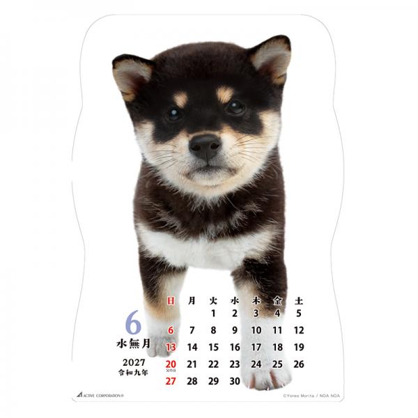 柴犬です２０２７　壁掛け 中面･6月