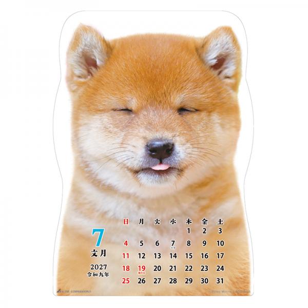 柴犬です２０２７　壁掛け 中面･7月