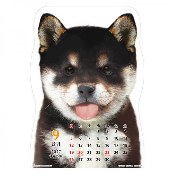 柴犬です２０２７　壁掛け 中面･9月