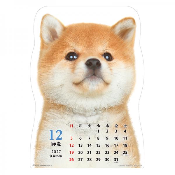 柴犬です２０２７　壁掛け 中面･12月