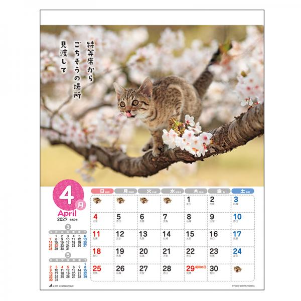 森田米雄 メッセージカレンダーＣＡＴ２０２７　壁掛け 中面･4月