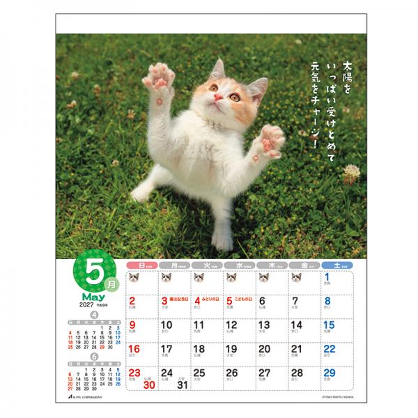森田米雄 メッセージカレンダーＣＡＴ２０２７　壁掛け 中面･5月