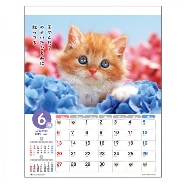 森田米雄 メッセージカレンダーＣＡＴ２０２７　壁掛け 中面･6月