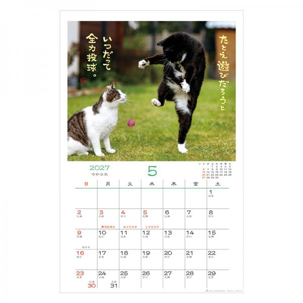 日なたぼっこ猫だよりカレンダー２０２７　壁掛け 中面･5月
