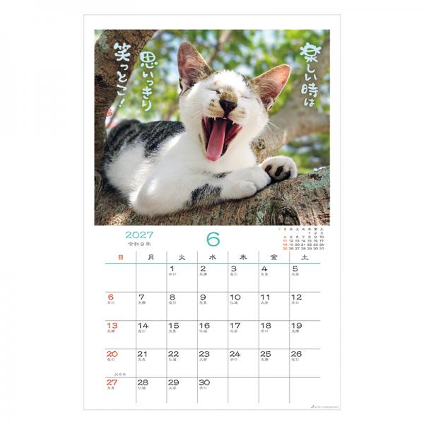日なたぼっこ猫だよりカレンダー２０２７　壁掛け 中面･6月