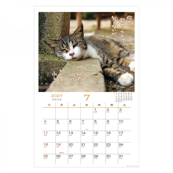 日なたぼっこ猫だよりカレンダー２０２７　壁掛け 中面･7月