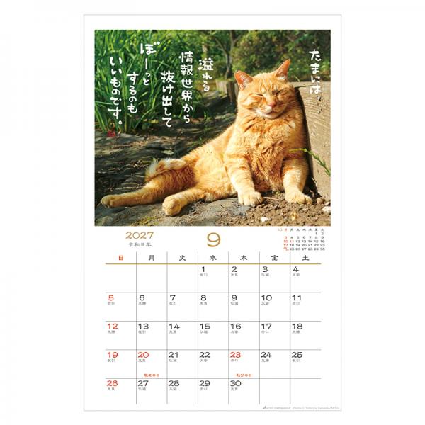 日なたぼっこ猫だよりカレンダー２０２７　壁掛け 中面･9月