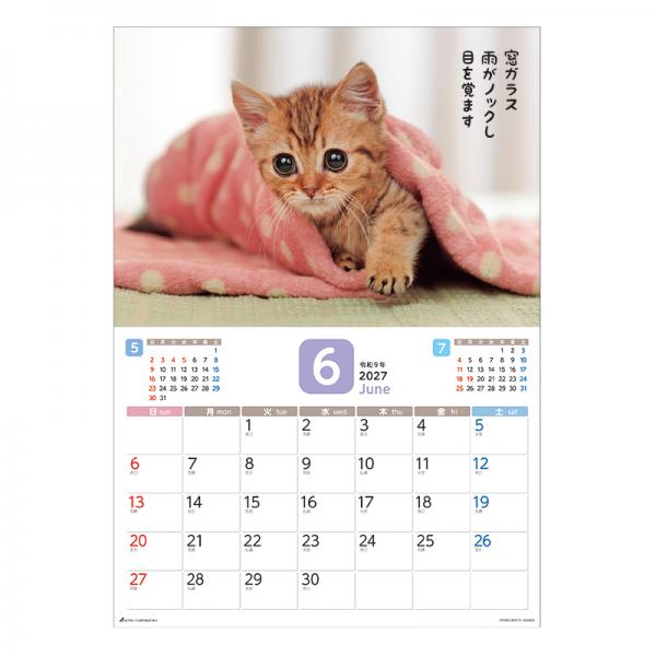 だってネコだもの。カレンダー２０２７　月めくり壁掛け 中面･6月