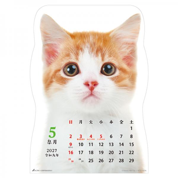 猫です２０２７　壁掛け 中面･5月