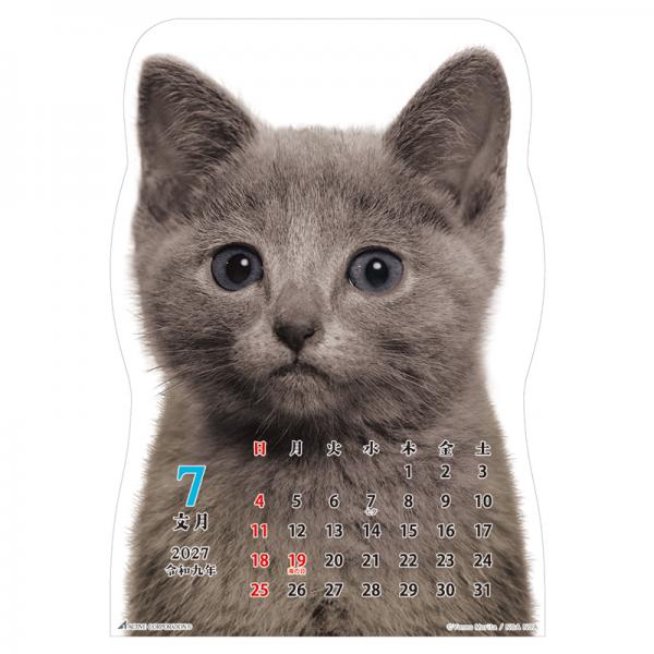 猫です２０２７　壁掛け 中面･7月