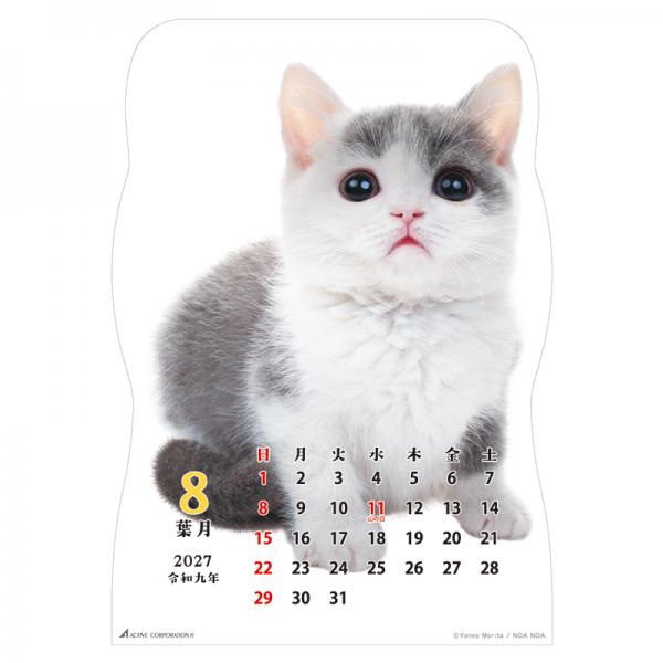 猫です２０２７　壁掛け 中面･8月