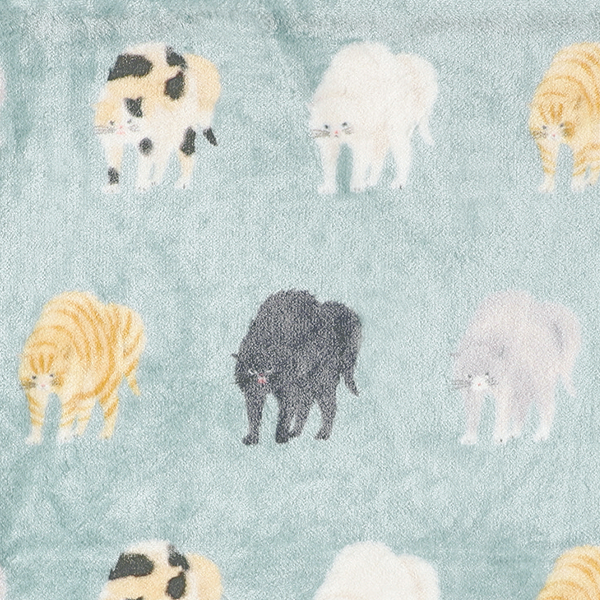 デジプリブランケット　猫 ヤンノカキャット