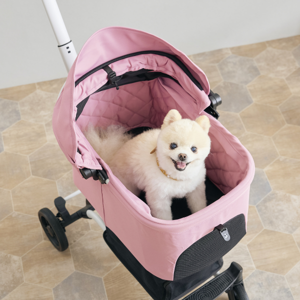 ＡＩＲＢＵＧＧＹ（エアバギー）　ウィズエックス チェリーピンク