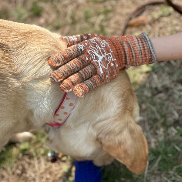 わんことの見守りがわかる軍手 ＭＩＸカラー 