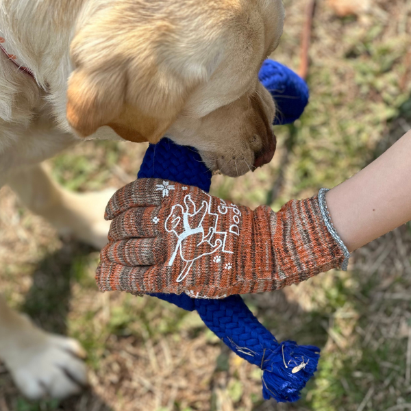 わんことの見守りがわかる軍手 ＭＩＸカラー 