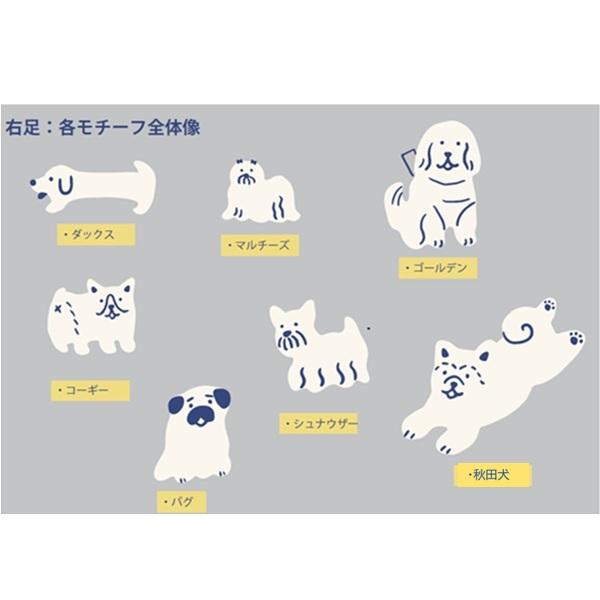 違うって楽しいソックス 右足の犬種