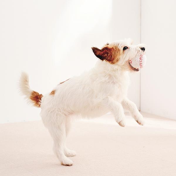 ハンドメイド・ニットトイ 