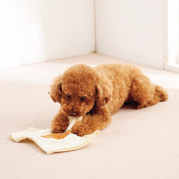 ノーティードッグ・トイ  Ｔシャツ 