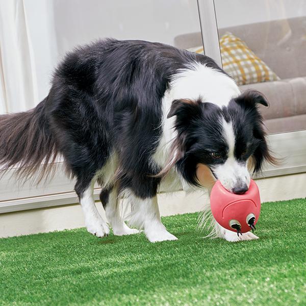 ランコたまごちゃん 