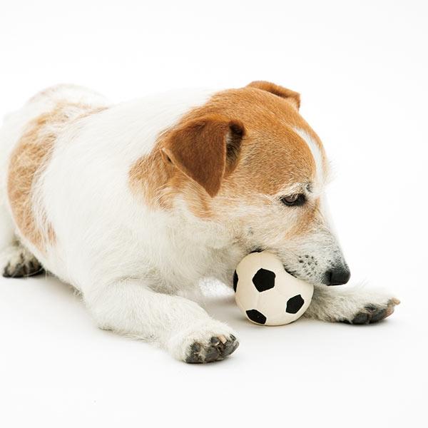 ランコ ボールシリーズ 