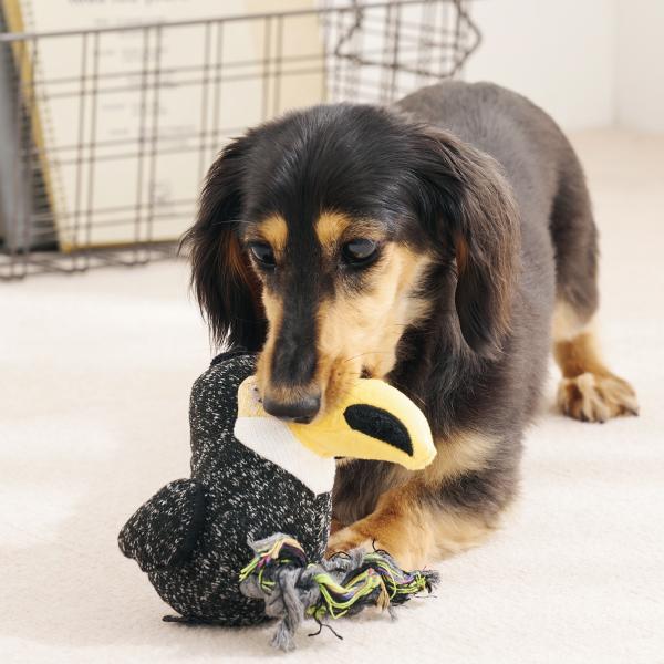 プラッシュバードトイ・ウィズロープ トゥーカン