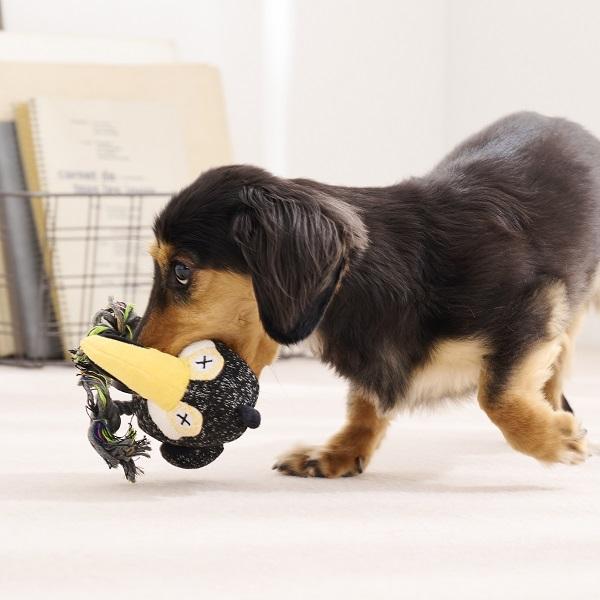 プラッシュバードトイ・ウィズロープ トゥーカン