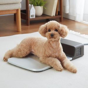 夏用マット クールマット 犬用品 ペット用品の通販サイト ペピイ Peppy