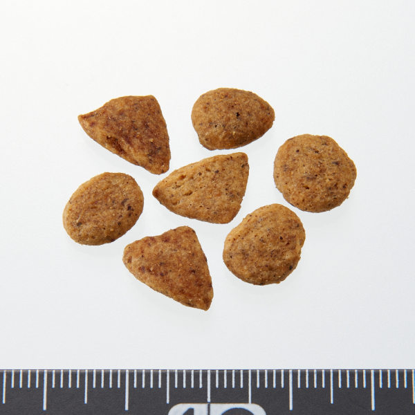 ピュリナワン グレインフリー１歳以上チキン 