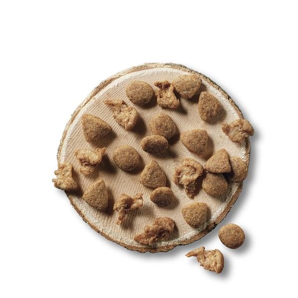 ピュリナワン グレインフリー１歳以上チキン 