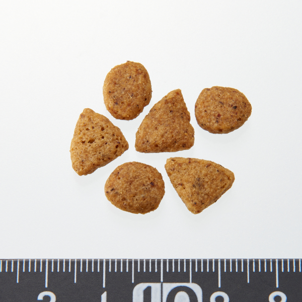 ピュリナワン　グレインフリー　１歳以上白身魚 