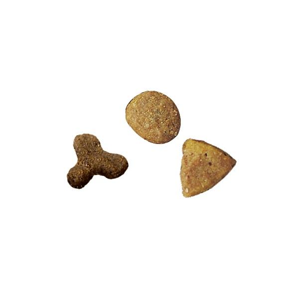 ピュリナワン　室内飼い猫用　インドアキャット１歳以上　チキン 