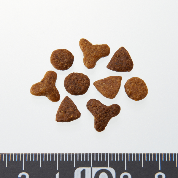 ピュリナワン　室内飼い猫用　インドアキャット１歳以上サーモン＆ツナ 