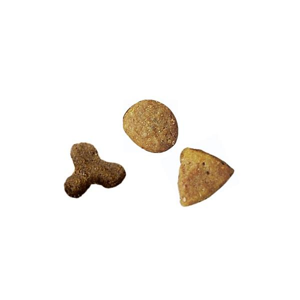 ピュリナワン　室内飼い猫用　インドアキャット１歳以上サーモン＆ツナ 