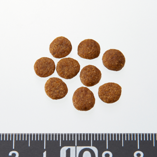 ピュリナワン　下部尿路の健康維持 ＦＬＵＴＨケア 1歳以上 サーモン＆ツナ 