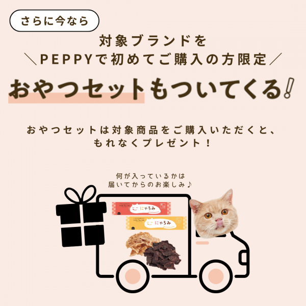 ピュリナワン 美味を求める成猫用 １歳以上 チキン 