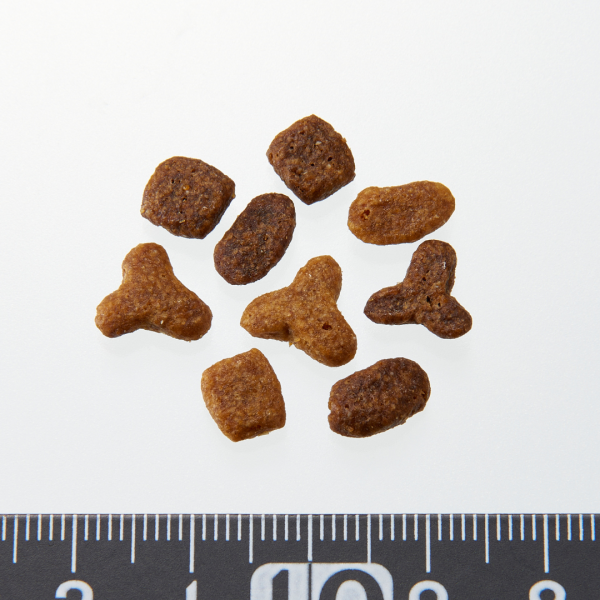 ピュリナワン　美味を求める成猫用　１歳以上　サーモン＆ツナ 