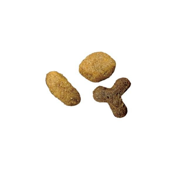 ピュリナワン　美味を求める成猫用　１歳以上　サーモン＆ツナ 